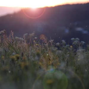 色婷婷一区二区三区按摩潮喷
